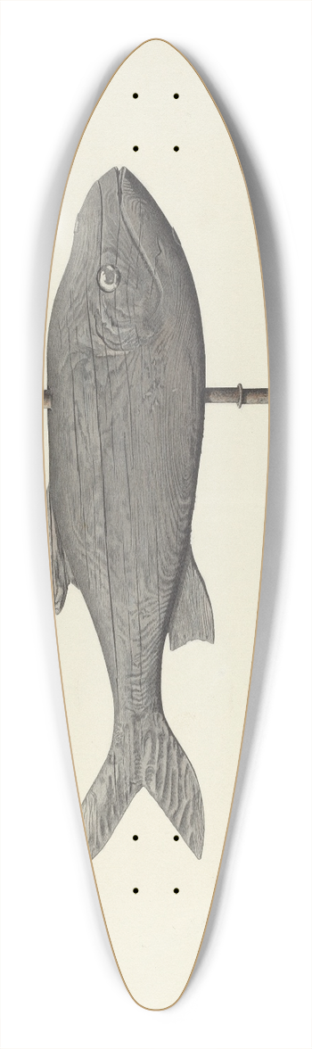 Michael Riccitelli - Fish Weather Vane 39.3 inch art pintail longboard deck