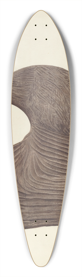 Michael Riccitelli - Rooster Weather Vane 39.3 inch art pintail longboard deck