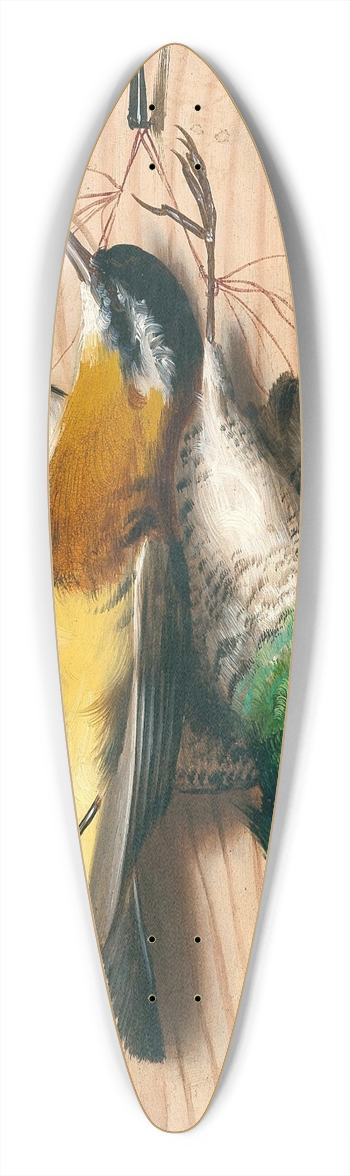 Michelangelo Meucci - Trompe loeil, songbirds 39.3 inch art pintail longboard deck