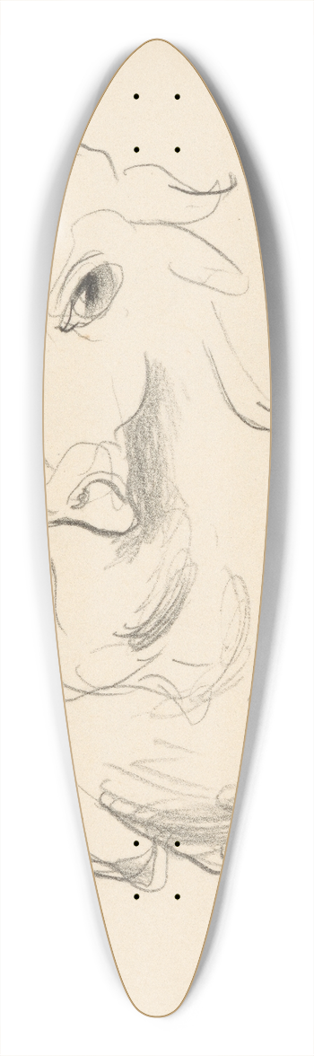 Mikul Galanda - Sketchbook 39.3 inch art pintail longboard deck