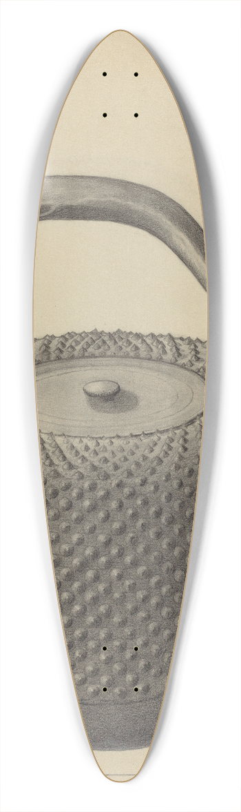 Mildred Ford - Tea Kettle 39.3 inch art pintail longboard deck