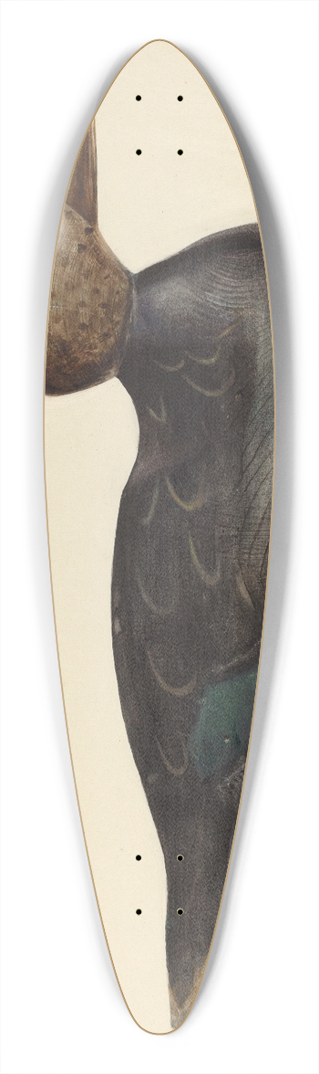 Mina Lowry - Decoy 39.3 inch art pintail longboard deck