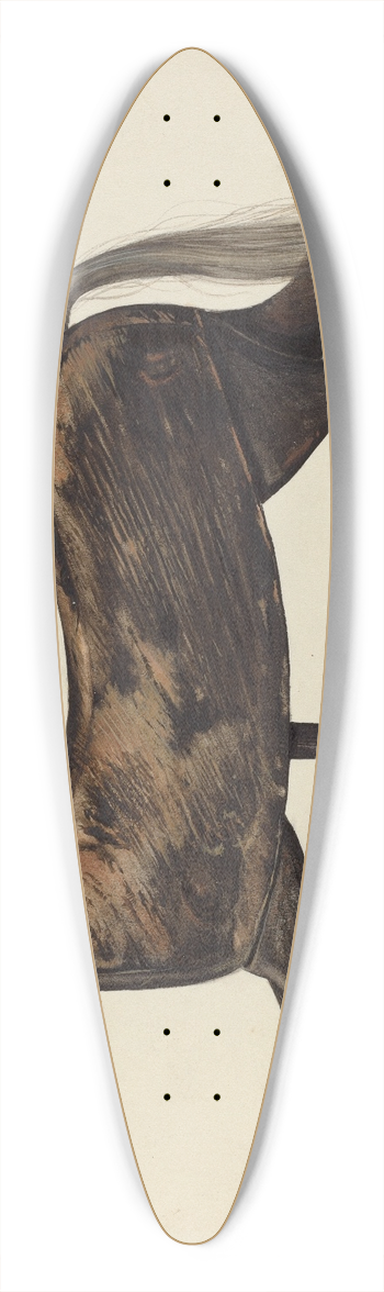 Mina Lowry - Weather Vane 39.3 inch art pintail longboard deck