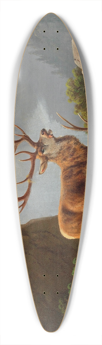 Moritz Mller - After the Fight 39.3 inch art pintail longboard deck