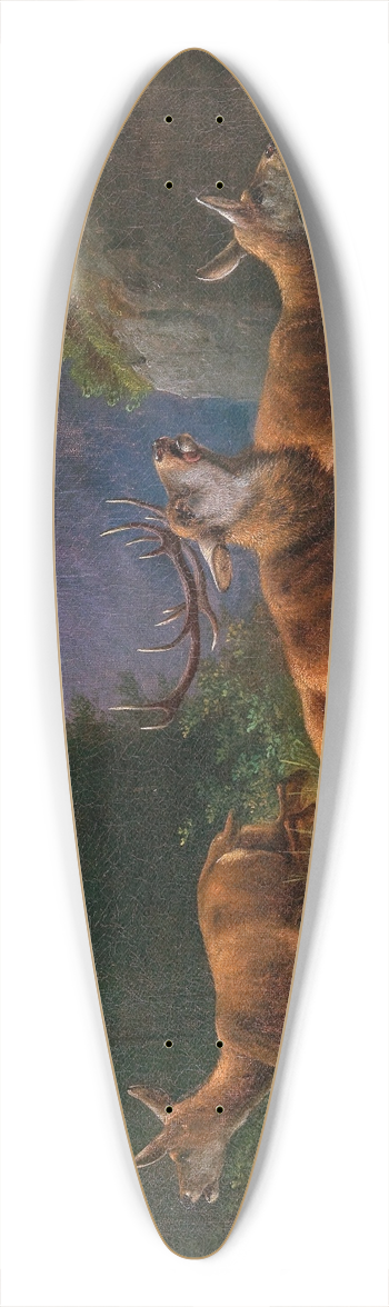 Moritz Mller - Stags in the Mountains 39.3 inch art pintail longboard deck