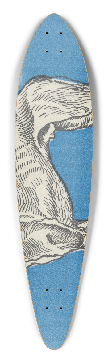 Moriz Jung - Greyhound 39.3 inch art pintail longboard deck