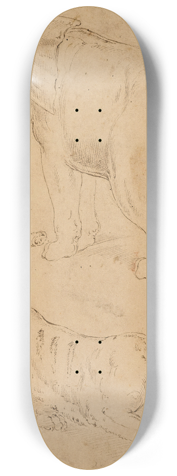 Giovanni-Battista Franco - tude dun lphant et dune panthre 8.25 inch art skate deck