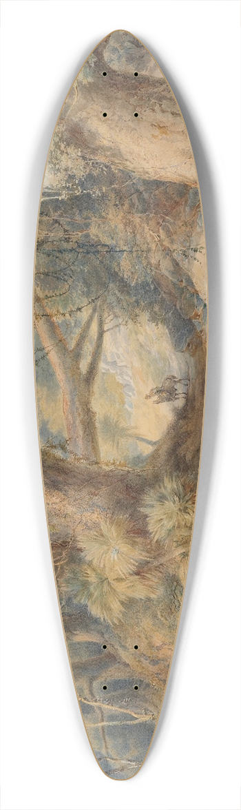 Nicholas Chevalier - Crossing the Teremakau River 39.3 inch art pintail longboard deck