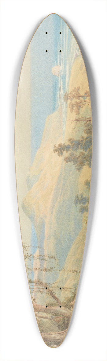 Nicholas Chevalier - Sandfly Bay, Otago 39.3 inch art pintail longboard deck
