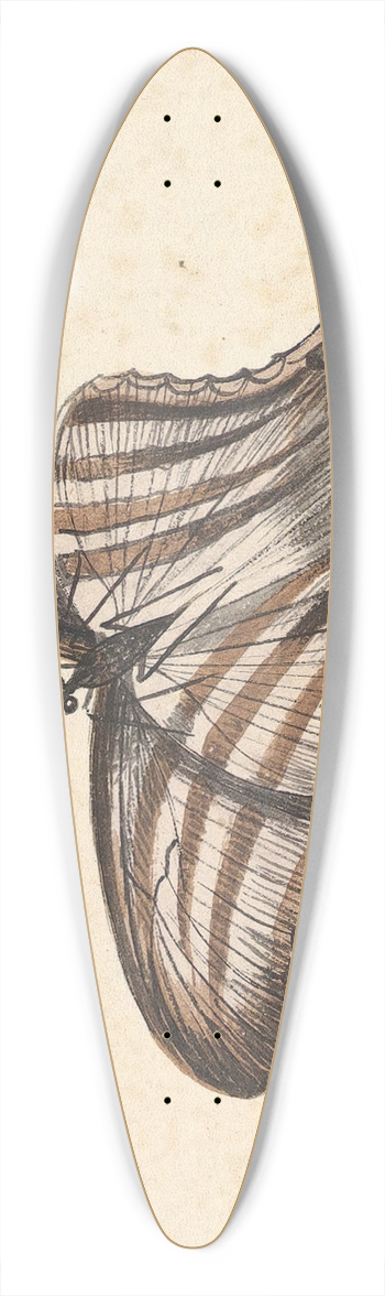 Nicolaas Struyk - A Butterfly 39.3 inch art pintail longboard deck