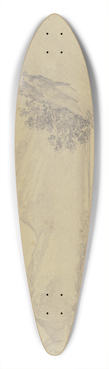 Nikolaus Hoff - Flat landscape 39.3 inch art pintail longboard deck