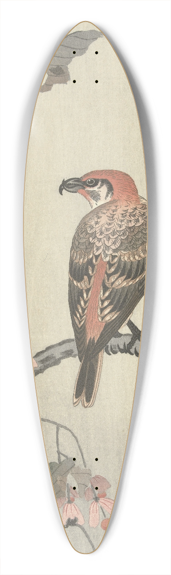 Ohara Koson - Crossbill on tree branch 39.3 inch art pintail longboard deck