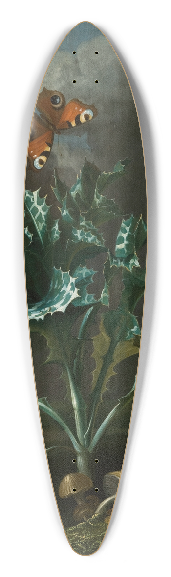 Otto Marseus van Schrieck - Thistles and Butterflies 39.3 inch art pintail longboard deck