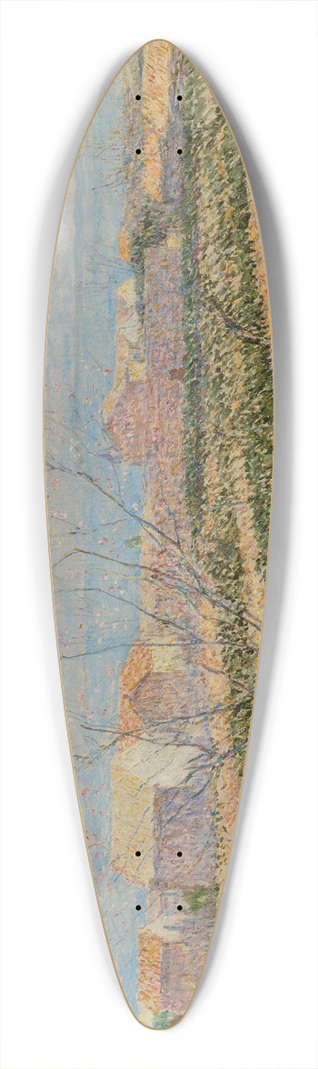 Paul Baum - Capri 39.3 inch art pintail longboard deck
