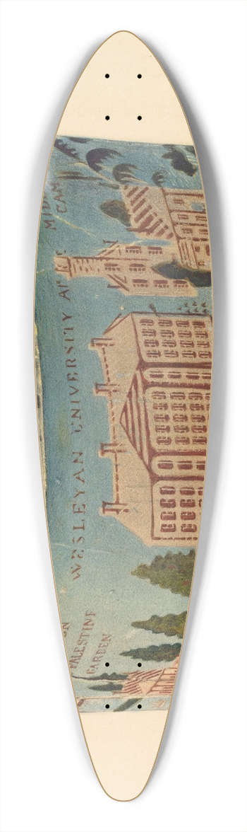 Paul Ward - Bandbox 39.3 inch art pintail longboard deck