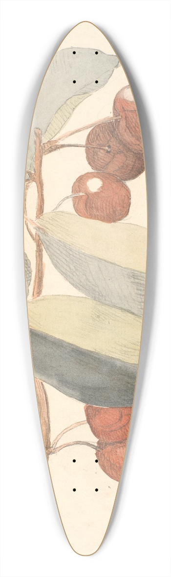 P. C. Skovgaard - En gren med paradisbler 39.3 inch art pintail longboard deck