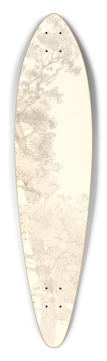 P. C. Skovgaard - Et stort tr 39.3 inch art pintail longboard deck