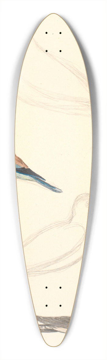 P. C. Skovgaard - To studier af en ellekrage og to studier af en gg 39.3 inch art pintail longboard deck