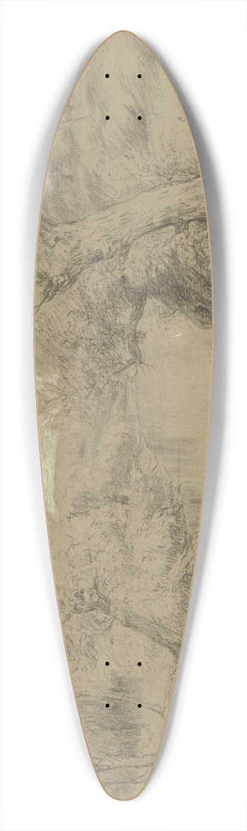Peter Burnitz - Flulandschaft bei Erfelden 39.3 inch art pintail longboard deck