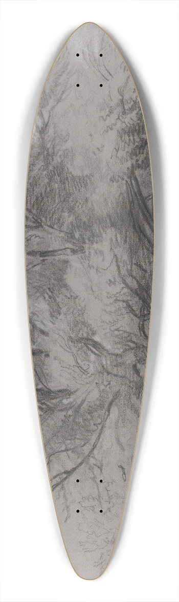 Peter DeWint - Pond with Willow Tree and Ducks 39.3 inch art pintail longboard deck