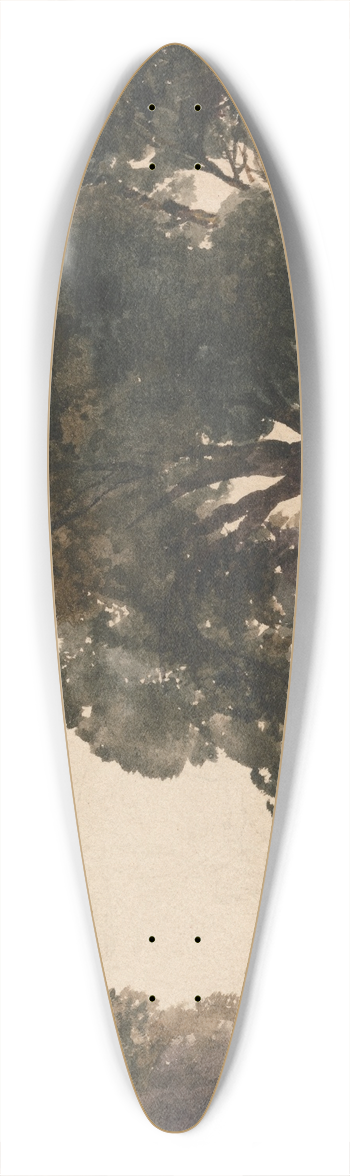 Peter DeWint - The Wagon 39.3 inch art pintail longboard deck