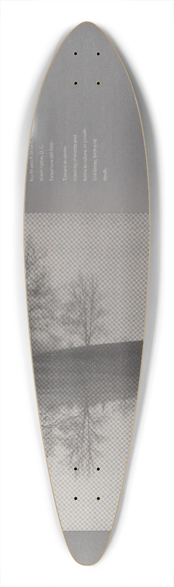 Peter Pettus - In natural light 39.3 inch art pintail longboard deck