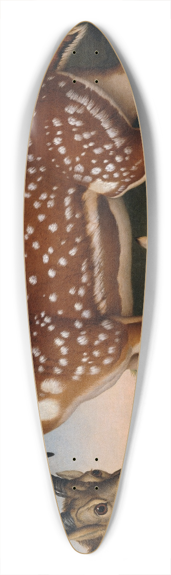 Philipp Ferdinand de Hamilton - Damwild, Steinbock Und Hase 39.3 inch art pintail longboard deck