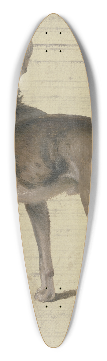 Philipp Rumpf - Dog 39.3 inch art pintail longboard deck