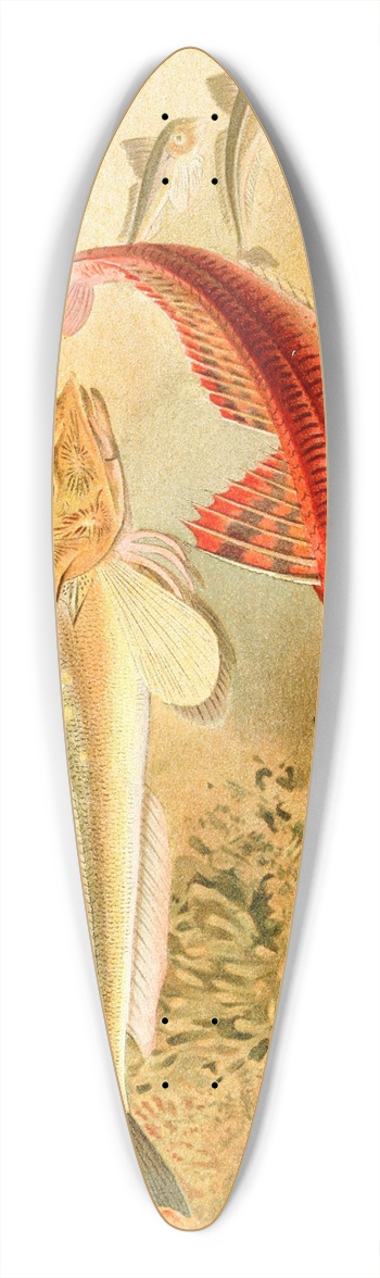 Pierre Jacques Smit - Gurnards 39.3 inch art pintail longboard deck
