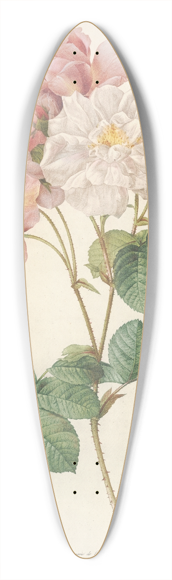 Pierre Joseph Redout - Rosa Damascena 39.3 inch art pintail longboard deck