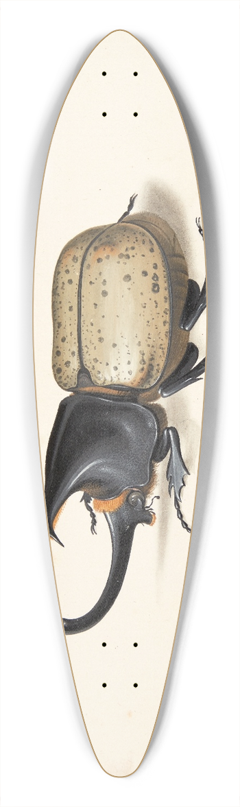 Pieter Holsteijn - En herkulesbille dynastes hercules 39.3 inch art pintail longboard deck