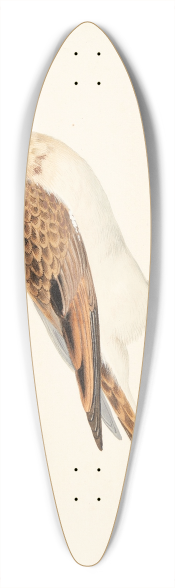 Pieter Holsteijn - En sanglrke alauda arvensis 39.3 inch art pintail longboard deck