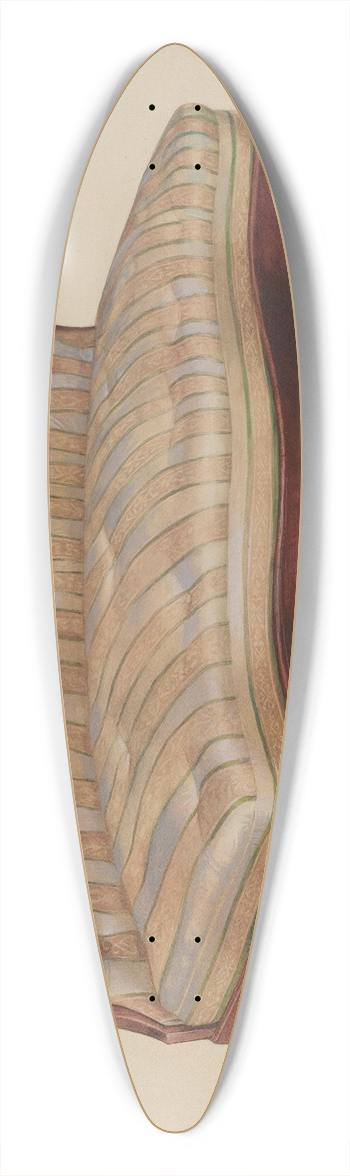 Ralph Morton - Love Seat 39.3 inch art pintail longboard deck