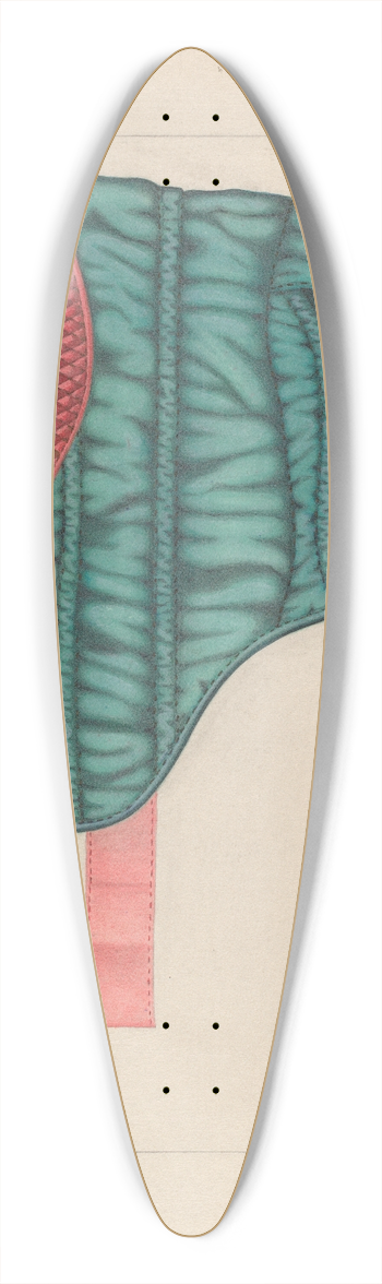 Raymond Manupelli - Opera Hood 39.3 inch art pintail longboard deck