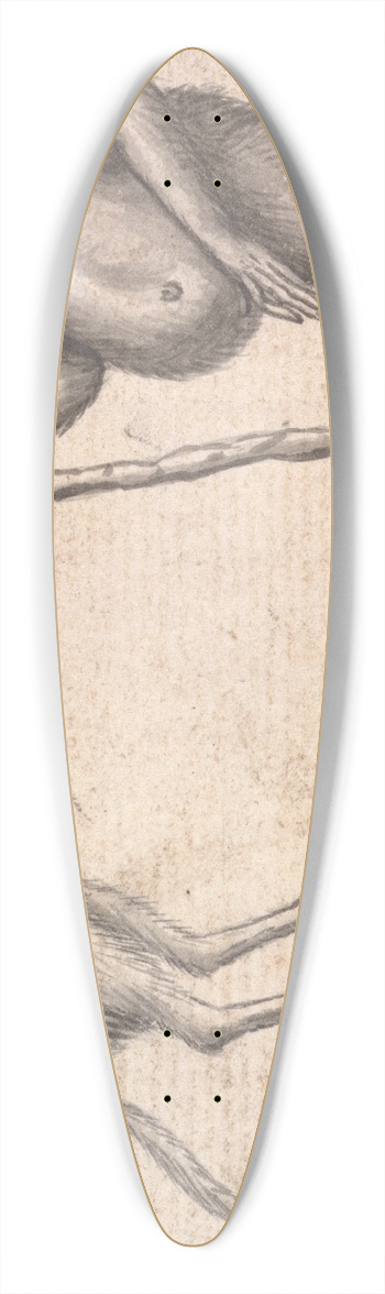 Richard Brookes - Monkey 39.3 inch art pintail longboard deck