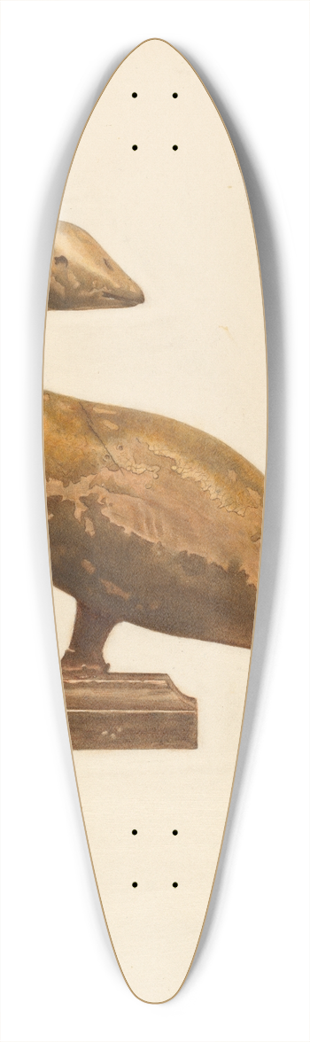 Roberta Spicer - Bird 39.3 inch art pintail longboard deck
