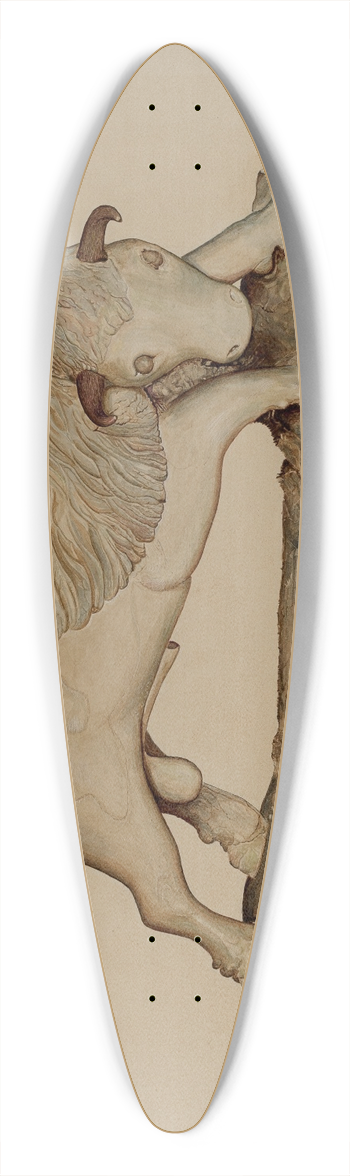 Robert Gilson - Buffalo 39.3 inch art pintail longboard deck
