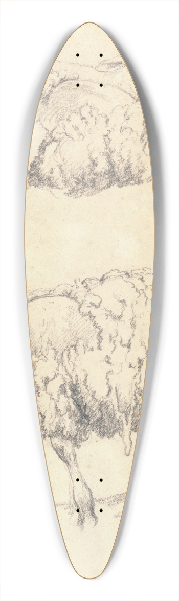 Robert Hills - The Shearing 39.3 inch art pintail longboard deck