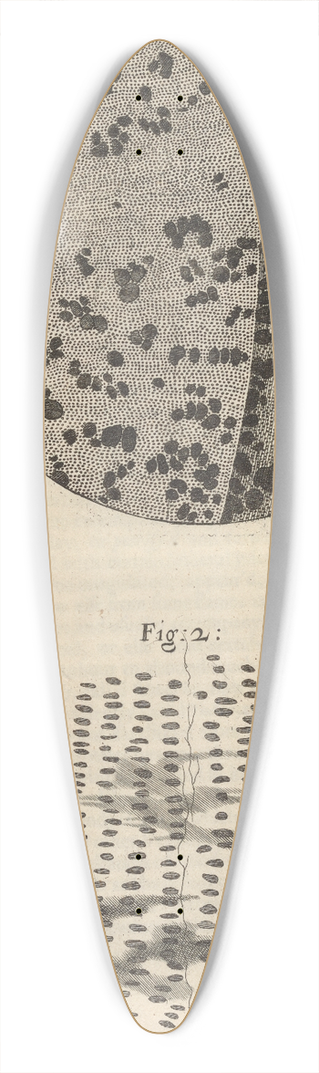 Robert Hooke - Microscopic view of charcoal and petrified wood 39.3 inch art pintail longboard deck