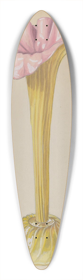 Robert Stewart - Vase 39.3 inch art pintail longboard deck