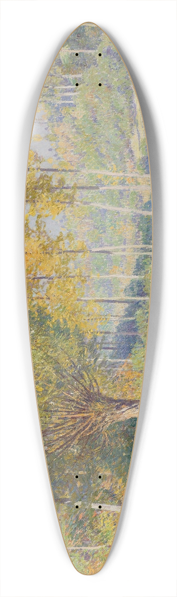 Rodolphe Wytsman - Paysage 39.3 inch art pintail longboard deck