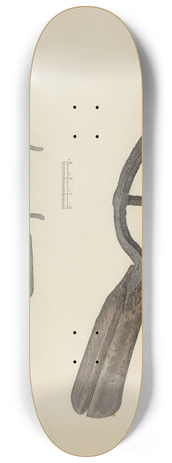 Gordon Sanborn - Flat Iron Holder 8.25 inch art skate deck