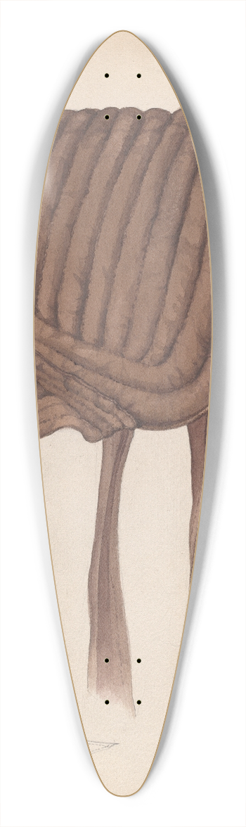 Rosalia Lane - Quaker Bonnet 39.3 inch art pintail longboard deck