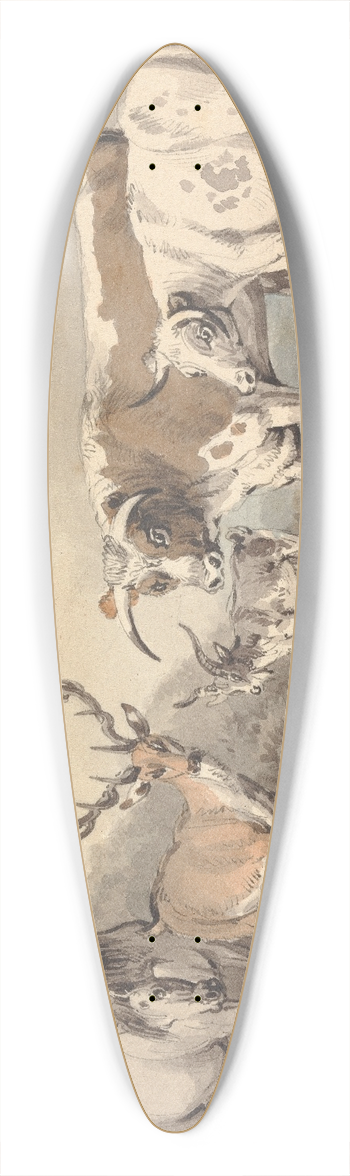 Samuel Howitt - A Frog Confronting a Circle of Animals 39.3 inch art pintail longboard deck