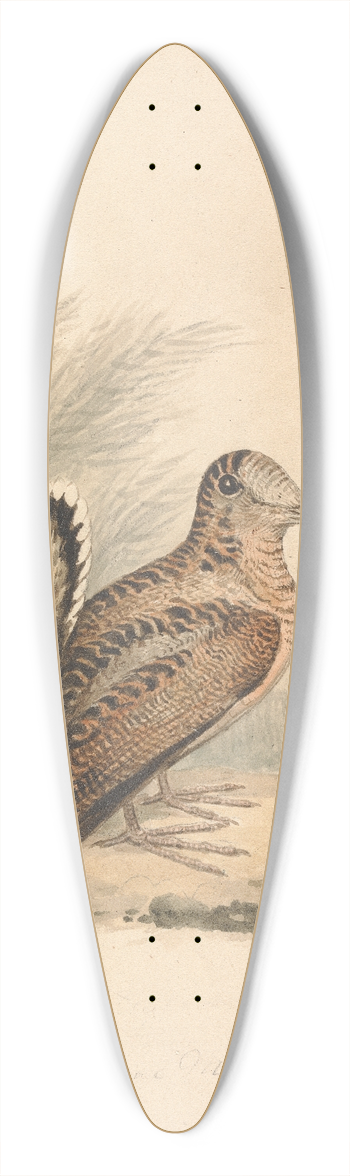 Samuel Howitt - A Woodcock 39.3 inch art pintail longboard deck