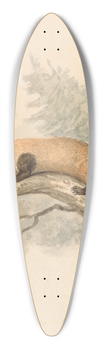 Samuel Howitt - Polecat 39.3 inch art pintail longboard deck