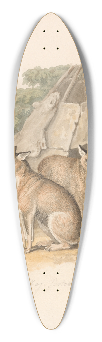 Samuel Howitt - Two Huskies 39.3 inch art pintail longboard deck