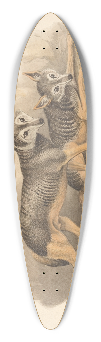 Samuel Howitt - Two Hyenas 39.3 inch art pintail longboard deck
