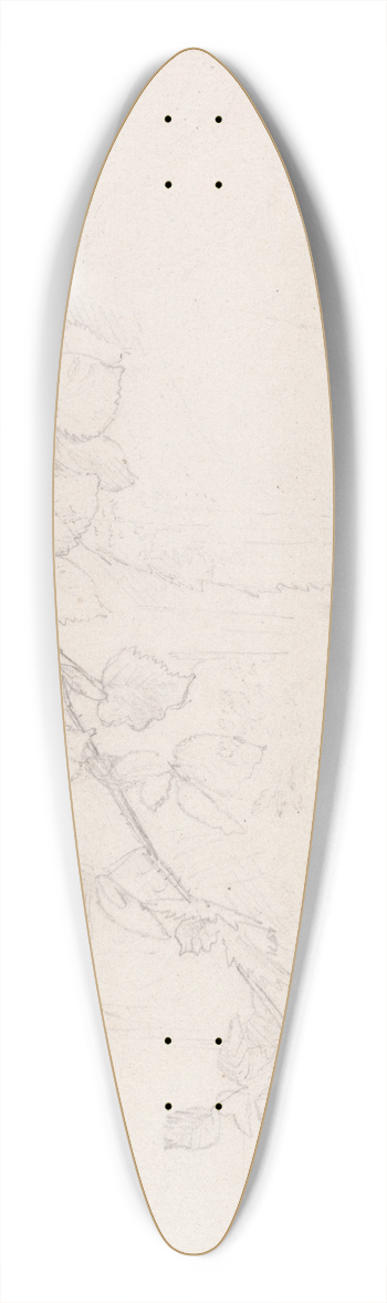 Samuel Palmer - Brambles 39.3 inch art pintail longboard deck