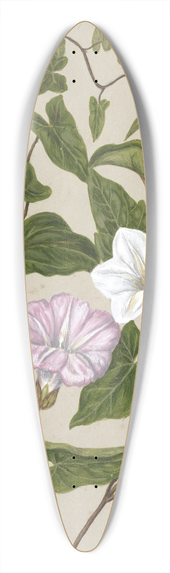 Sarah Featon - Bindweed, Pohu 39.3 inch art pintail longboard deck
